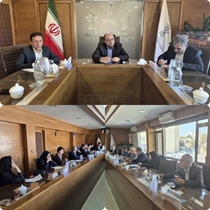 دومین کمیته صیانت از حقوق مردم در سلامت